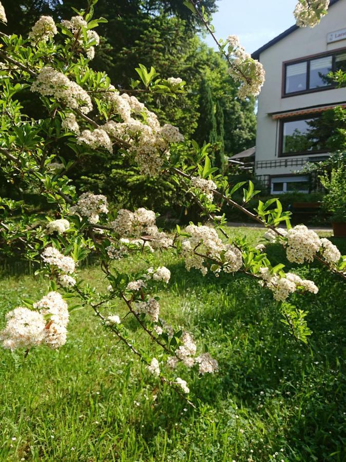 Landgasthof Gaensberg Wiesloch Exterior foto